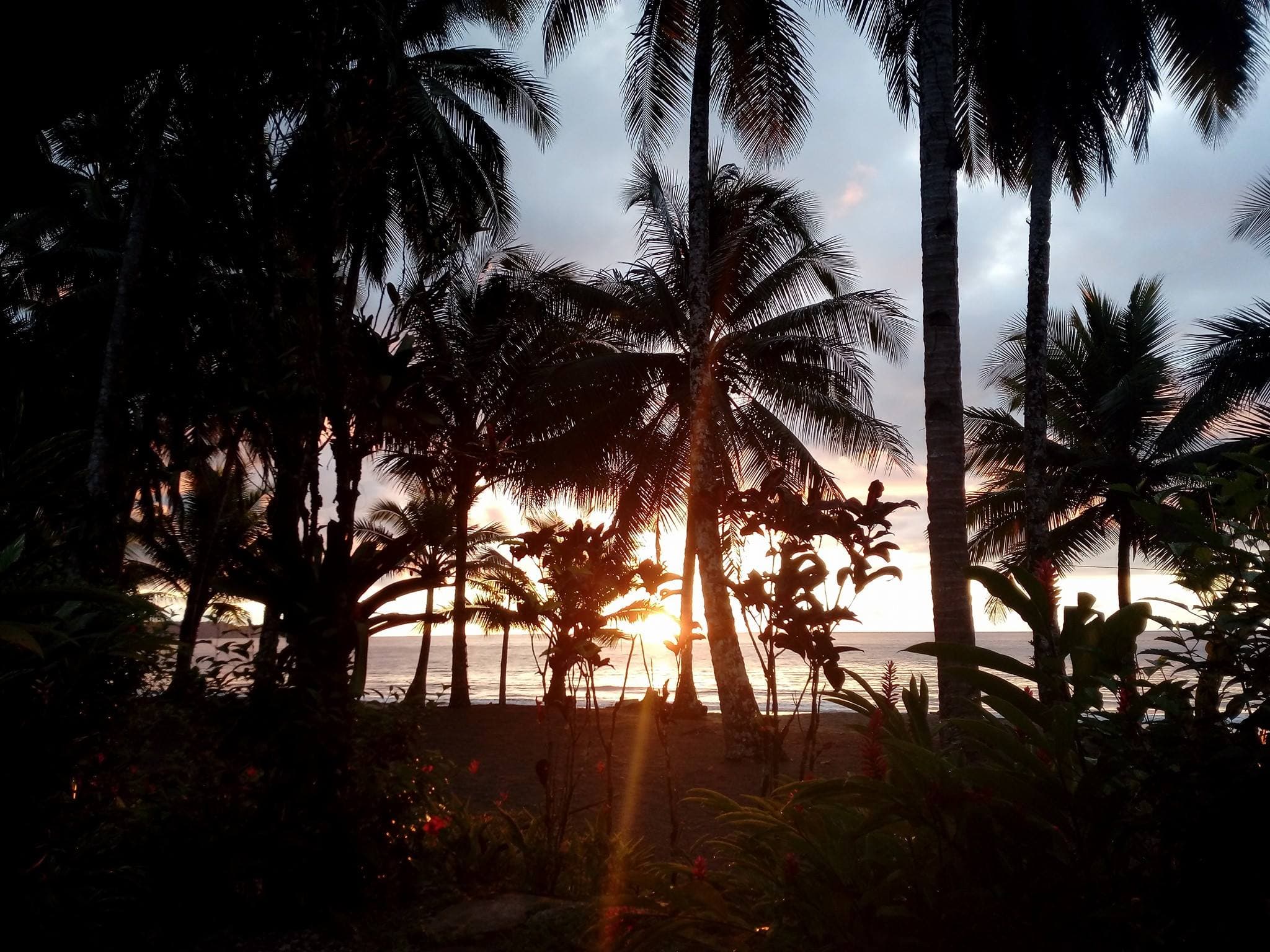 Atardecer entre palmeras frente al Pacífico en Playa Terco
